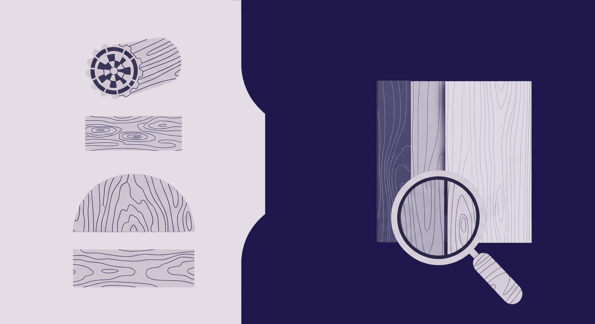 Exploring Wood Veneer: Grain Patterns and Color Variations An illustration showing various cross-sections and patterns of wood grain on the left, representing different cuts and natural variations. On the right, a magnifying glass highlights the distinct color and grain variations of three different wood veneer planks, symbolizing the detailed examination and mastery of these characteristics.